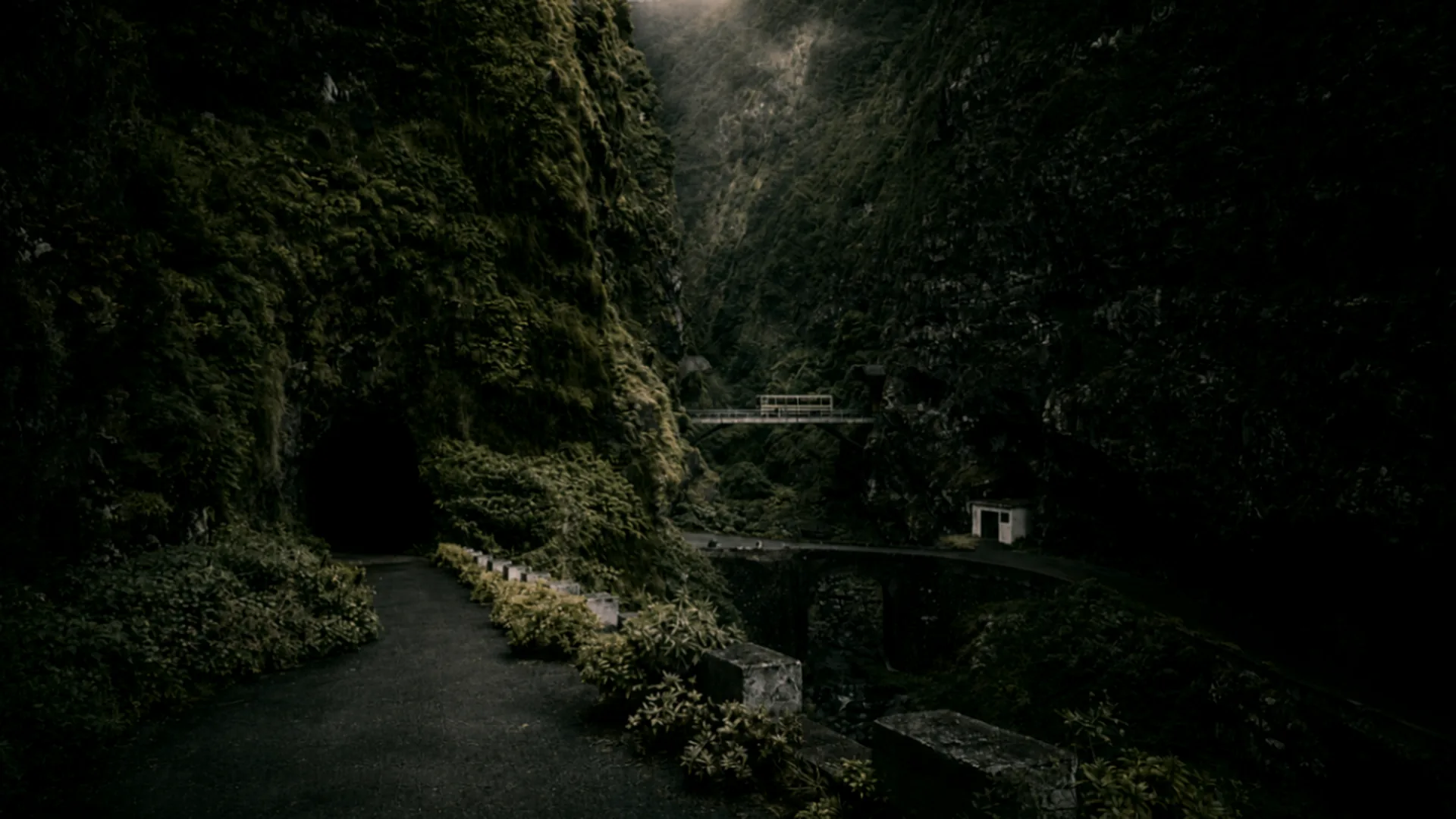Vestuário Moderno da Madeira: Identidade Insular, Corte Editorial